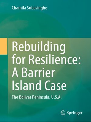 cover image of Rebuilding for Resilience